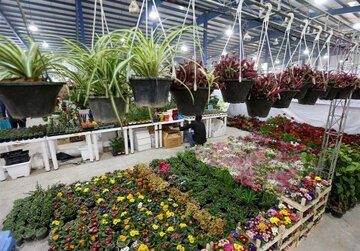 نمایشگاه گل و گیاه دزفول افتتاح شد