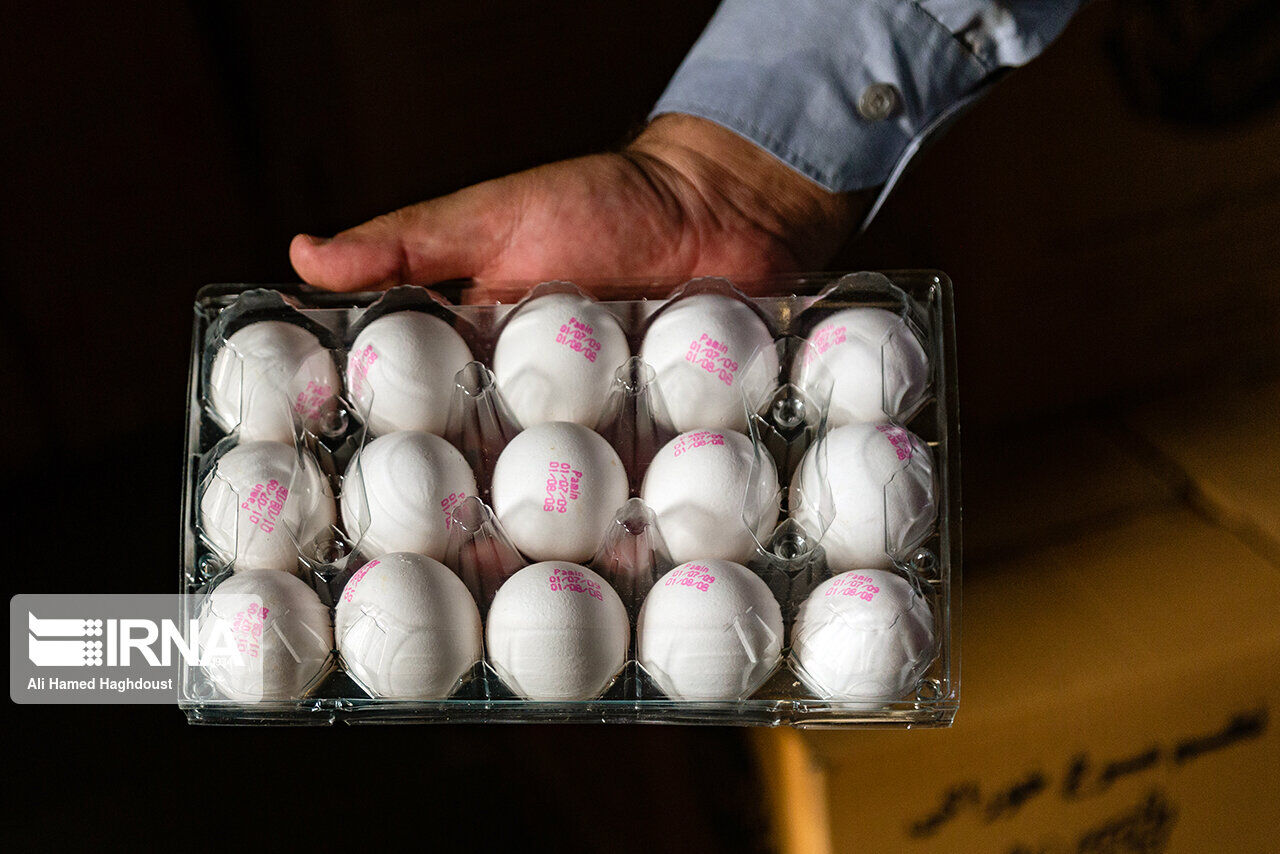 ۲۱ واحد عرضه تخم مرغ بدون نشانه در مشهد جریمه شدند