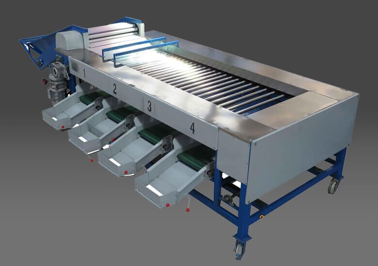 ساخت دستگاه سورتینگ و شستوشوی میوه به همت دانشبنیانها ساخت دستگاه سورتینگ و شستوشوی میوه به همت دانشبنیانها