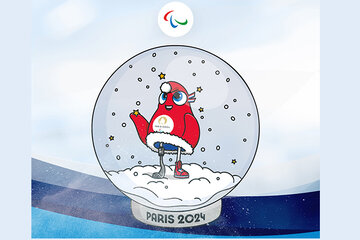 فروش چشمگیر نماد المپیک و پارالمپیک در آستانه سال نو میلادی