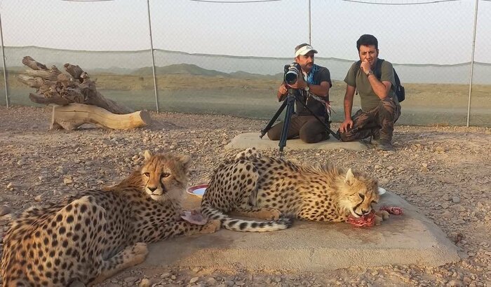 اکران چهار فیلم در اولین روز جشنواره بین‌المللی سینما حقیقت در گلستان