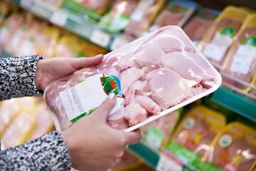 تولید بی‌سابقه گوشت مرغ در کشور/ قیمت جوجه یک‌روزه همچنان گران است
