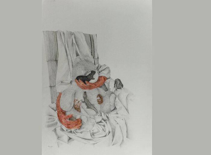 هفته دوم دی ماه به کدام گالریهای تهران برویم؟