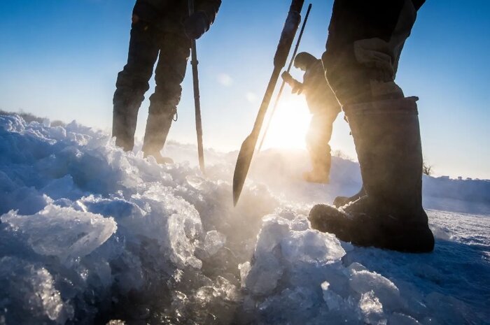 آیا دایناسورهای منقرضشده برمیگردند؟