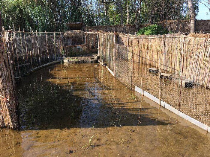 جمع شدن بازار فروش پرندگان مهاجر فریدونکنار/گام محیطزیستی دیگری از دولت سیزدهم