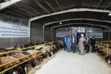 خط تولید خوراک دام در "شاندیز" خراسان رضوی افتتاح شد