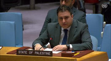 نماینده فلسطین: اسرائیل نباید از عواقب حملاتش در امان بماند