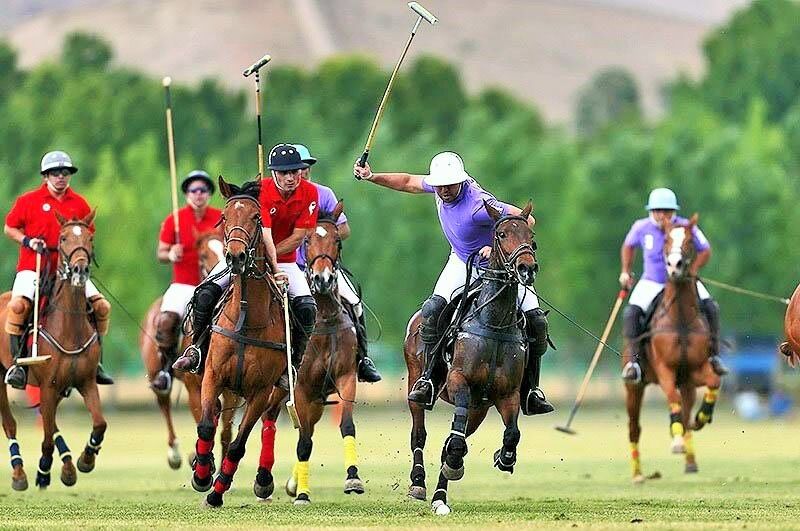 معاون وزیر ورزش: دبیرخانه دائمی آیین ملی چوگان به بم واگذار شد