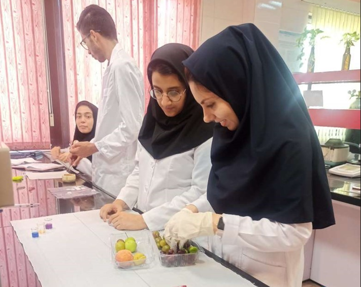 افزایش ماندگاری میوه ها و تسهیل در صادرات با نوآوری پژوهشگران ایرانی