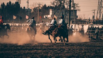 تصاویر از لینگ بز کشی