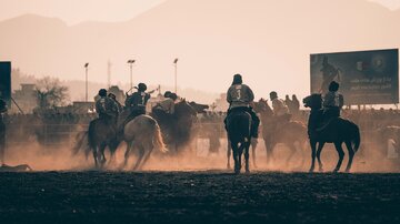 تصاویر از لینگ بز کشی