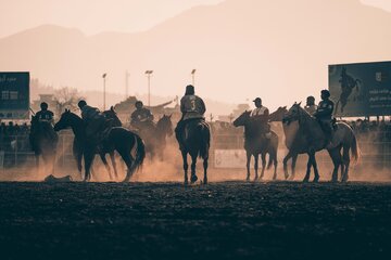 تصاویر از لینگ بز کشی