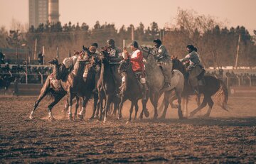 تصاویر از لینگ بز کشی