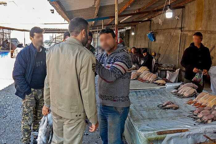 چراغ بازار پرندگان فریدونکنار خاموش میماند