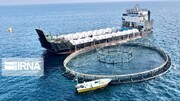 استاندار مازندران: رونق اقتصاد دریا محور سیاست قطعی دولت است