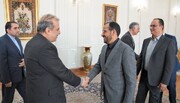 Asesor del ministro de Asuntos Exteriores de Irán se reúne con portavoz de Ansarolá