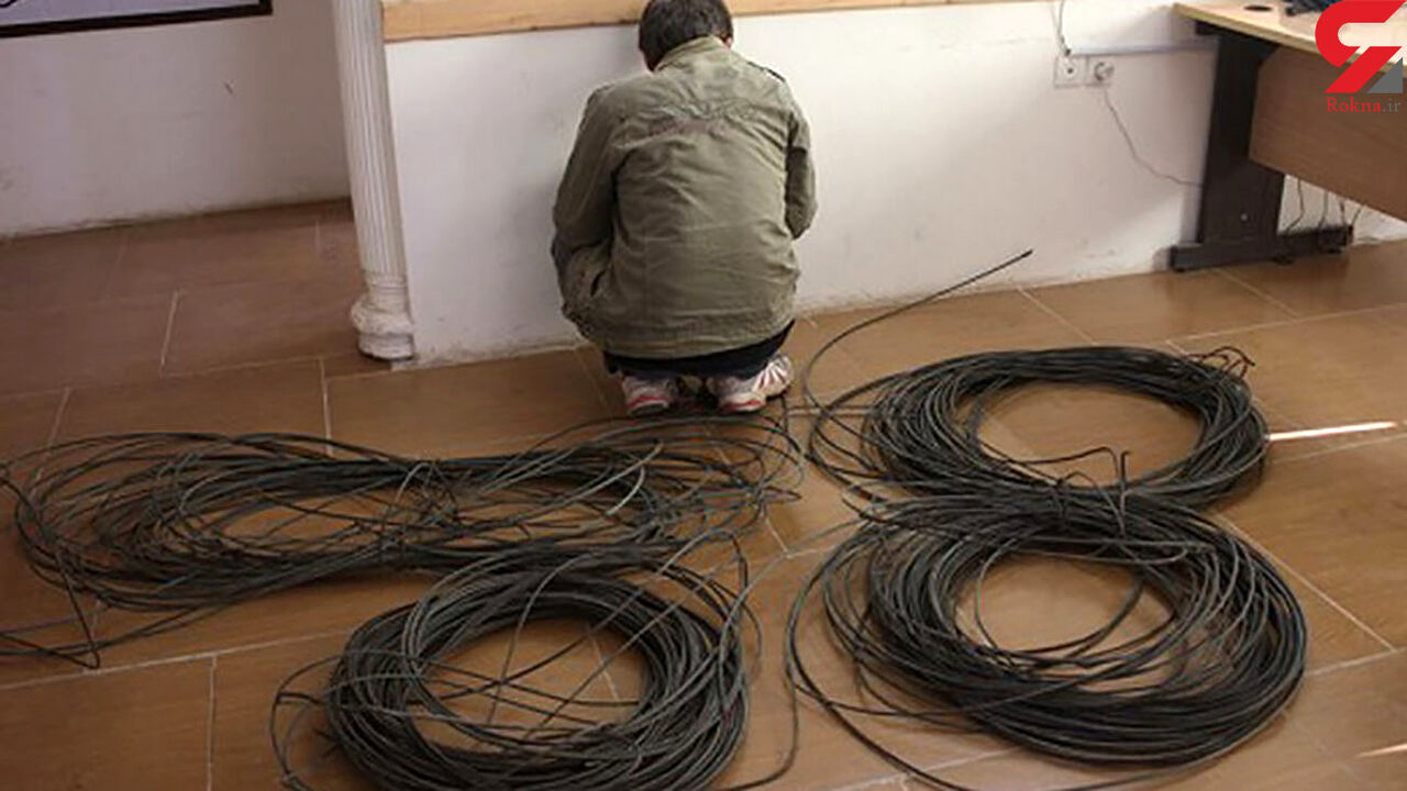 دستگیری سارق دکلهای مخابراتی در اهر و کشف محموله ماهی قاچاق در مرند دستگیری سارق دکلهای مخابراتی در اهر و کشف محموله ماهی قاچاق در مرند