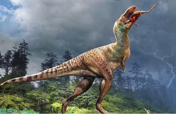 چه رابطه ای میان دایناسورها و تکامل بشر وجود دارد؟