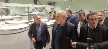 چرخه کامل تولید پنبه تا پوشاک با افتتاح «سرجین بافت» در زنجان عملیاتی شد