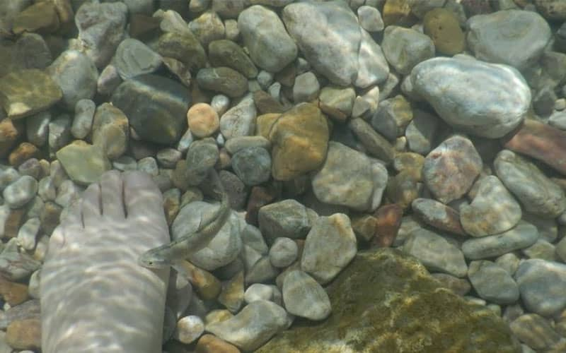 چشمه مرتضی علی؛ شگفت انگیز در طبس