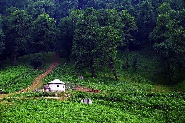 بهترین جای شمال برای مسافرت و اجاره ویلا