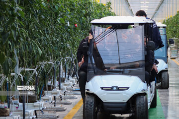 Une serre en verre haute technologique à Zanjan