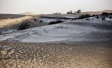 مالچ پاشی در مناطق تحت مدیریت محیط زیست خوزستان انجام نشده است