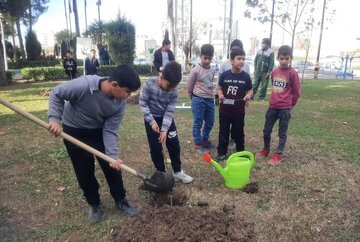 دانش‌آموزان گنبدی به یاد شهدای حادثه تروریستی کرمان درخت کاشتند