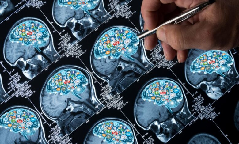 مرکز نخستیسانان روزنهای به درمان بیماریهای عصبی