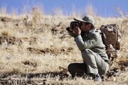 ۱۹ نفر در کاشان قبل از شکار غیرمجاز دستگیر شدند