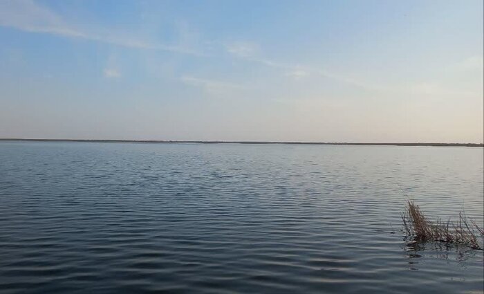 پهنه آبی تالابهای بینالمللی گنبدکاووس به ۸۲۰ هکتار رسید