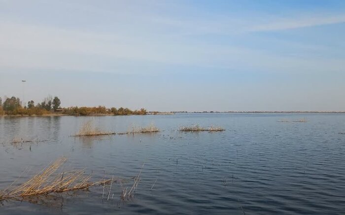 بارندگی، تسکین موقت تالابهای گلستان+ فیلم