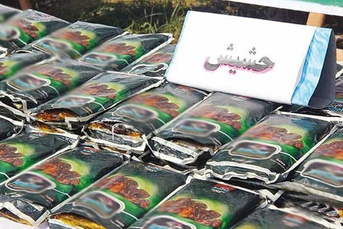 بسته پلیس هرمزگان؛ توقیف اتوبوس حامل سوخت غیرمجاز تا کشف حشیش و ماهی قاچاق