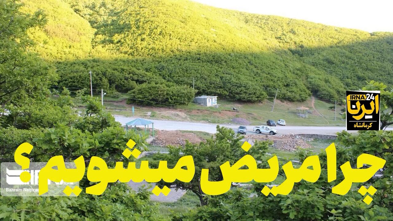 فیلم| دیدگاه یک کارشناس در خصوص قدرت شفابخش غذای طبیعی