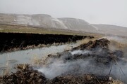 ۱۱ هکتار از نیزارهای تالاب دورگه سنگی نقده در آتش سوخت