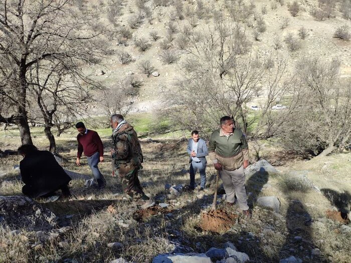 روستای "اَلگِن"سرمشقی برای صیانت از بلوط زاگرس + فیلم