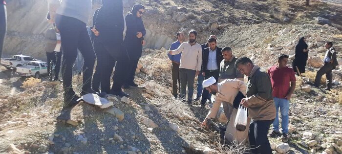 حفاظت از جنگل های بلوط زاگرس به سبک بنیادهای "اَلگن" و "زاگرس"