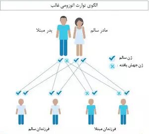 مشاوره ژنتیک برای ازدواج‌های فامیلی؛ گام نخست پیشگیری از معلولیت