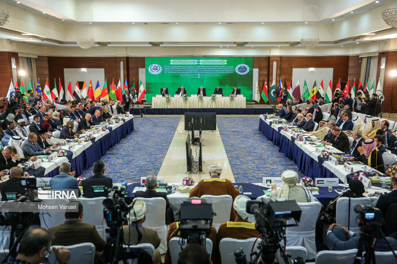 ¿Qué dijeron los enviados parlamentarios de los países en la cumbre de Palestina?