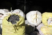 ۲۱۰ کیلوگرم زغال بلوط جنگلی در چهارمحال و بختیاری کشف شد