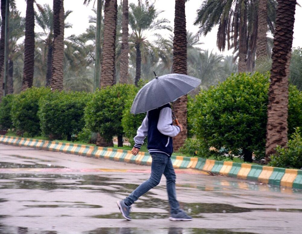بارش باران در استان بوشهر ادامه دارد