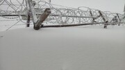 بارش ۱.۵ متر برف در کردستان، تردد در گردنه ها فقط با زنجیر چرخ +فیلم