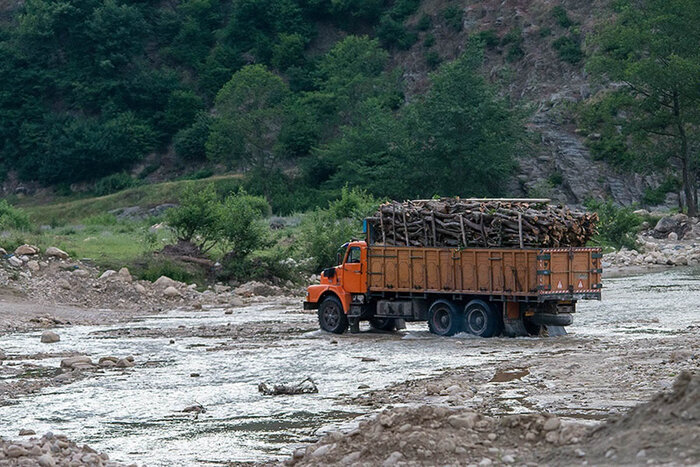 کشف ۱۶ تُن چوب آلات جنگلی و باغی قاچاق در نور