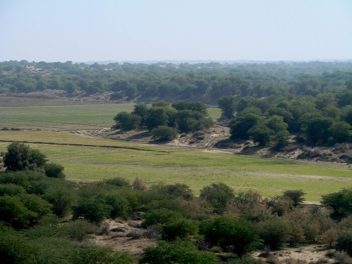 تثبیت ۹۰۰ هکتار ماسه‌زار در خوزستان با روش مالچ‌پاشی