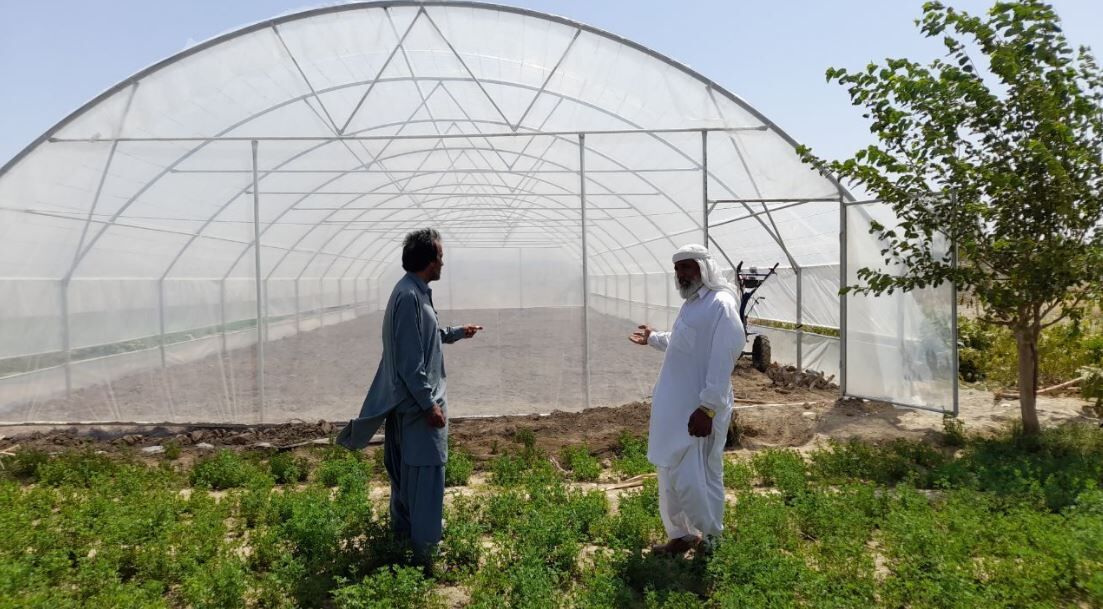 ۱۱۰ گلخانه خانگی در مهرستان ساخته شد