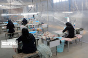 افزایش ۷۵درصدی بهره برداری طرح‌های صنعتی در بوشهر