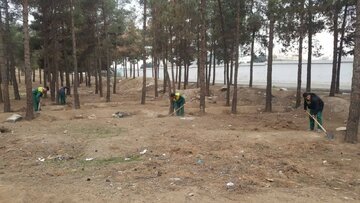 جمع آوری ۸۰۰ اصله درخت آفت زده/ بوستان چیتگر پس از سال‌ها سیراب شد