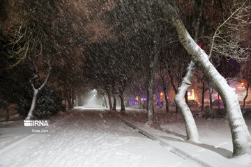 Chutes de neige à Ardabil, au nord-ouest de l'Iran