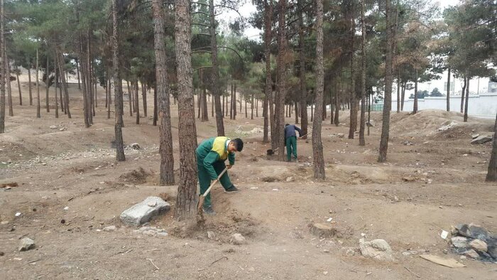 صیانت از بوستان جنگلی سرخه حصار، اولویت زیست محیطی شهرداری منطقه ۱۳