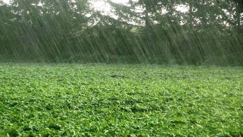 برکت باران در سرزمین رودخانه های خروشان